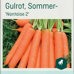 Frø Odle Sommergulrot