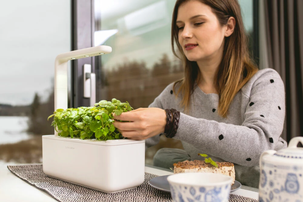 Click&Grow 3 Smart Garden 2 Click&Grow 3 Smart Garden - Bilde 2